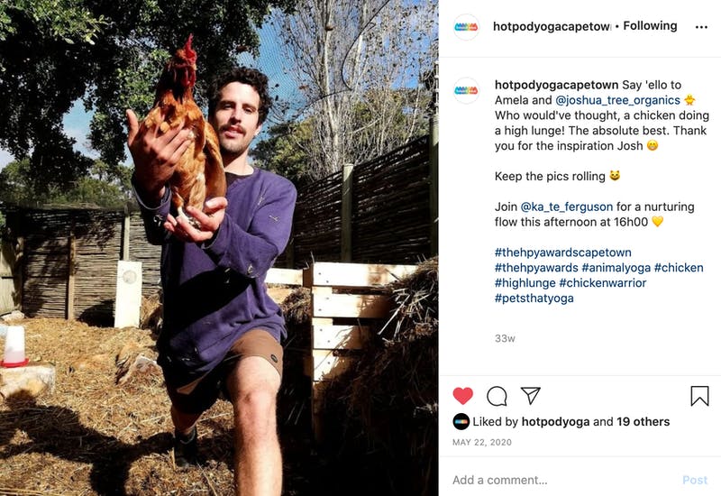 instagram photo of a hotpod yoga student doing a class with a chicken