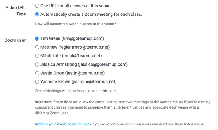 zoom settings in teamup