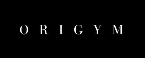 OriGym logo