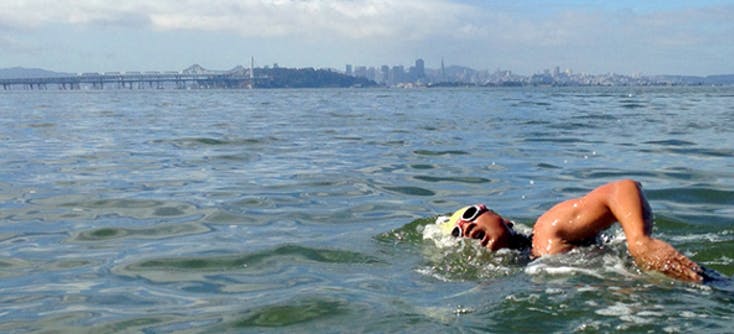 image of warren wallace swimming in the bay