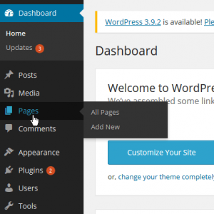 WordPress side panel. Pages tab highlighted.